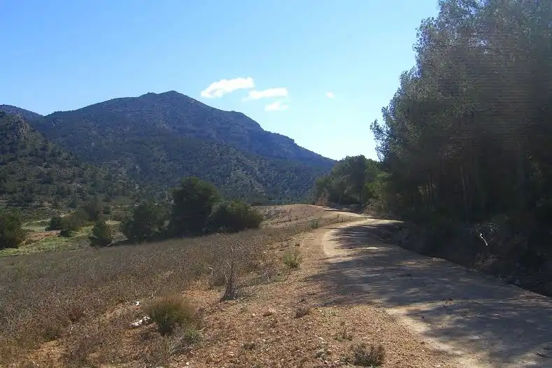 Terrenys i solars en venda a Lorca Ciudad, imagen 4