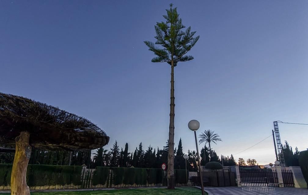 Vista exterior de Casa o xalet en venda en Elche / Elx amb Terrassa i Piscina