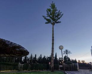 Vista exterior de Casa o xalet en venda en Elche / Elx amb Terrassa i Piscina