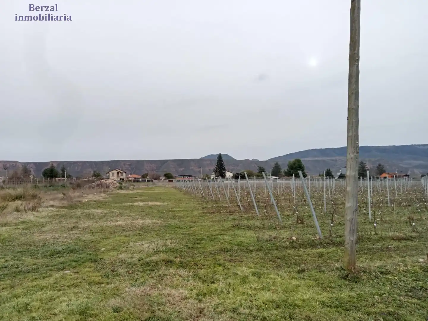 Terreno rústico en venta en Calle Carretera de Logroño, imagen 6