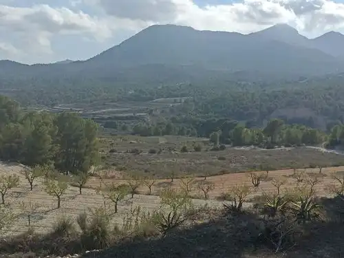 Villa avec terrasse à vendre à Partida el Llosar, imagen 13