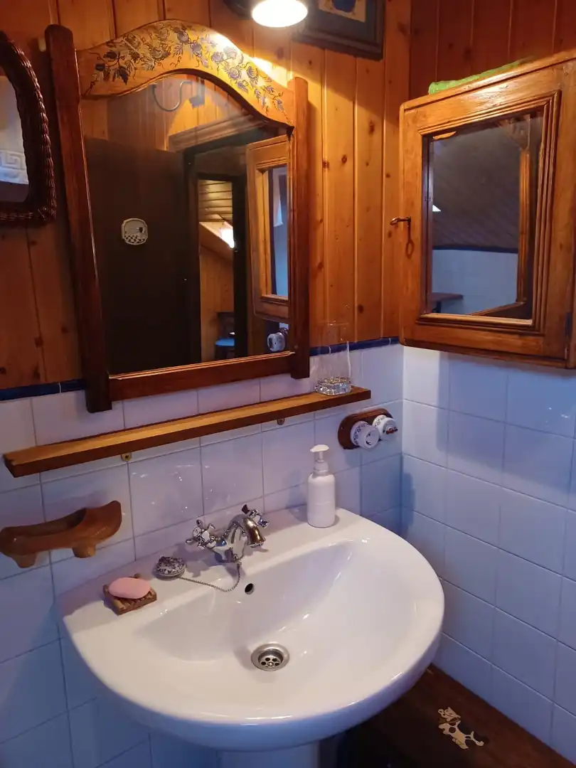 Villa in vendita a Cangas del Narcea, imagen 60