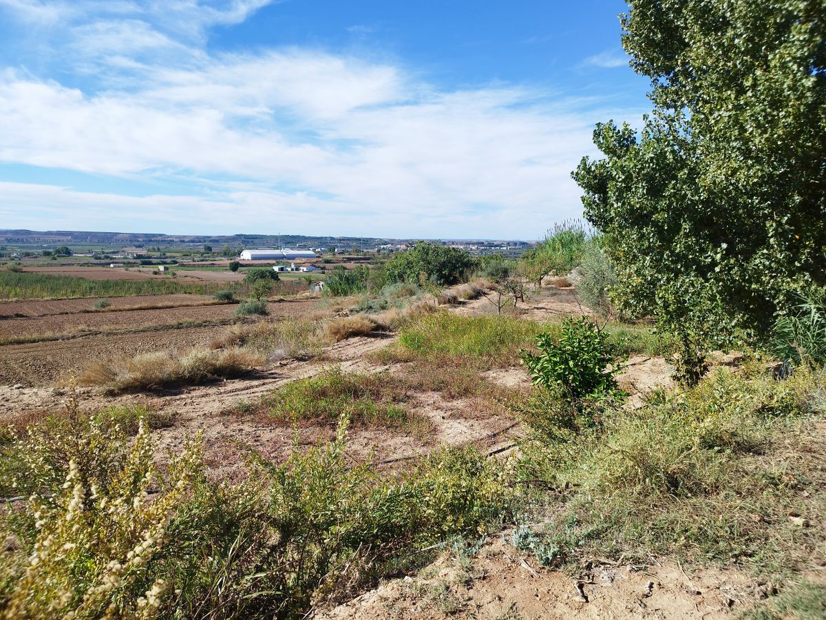 Finca rústica en venta en Puigverd de Lleida