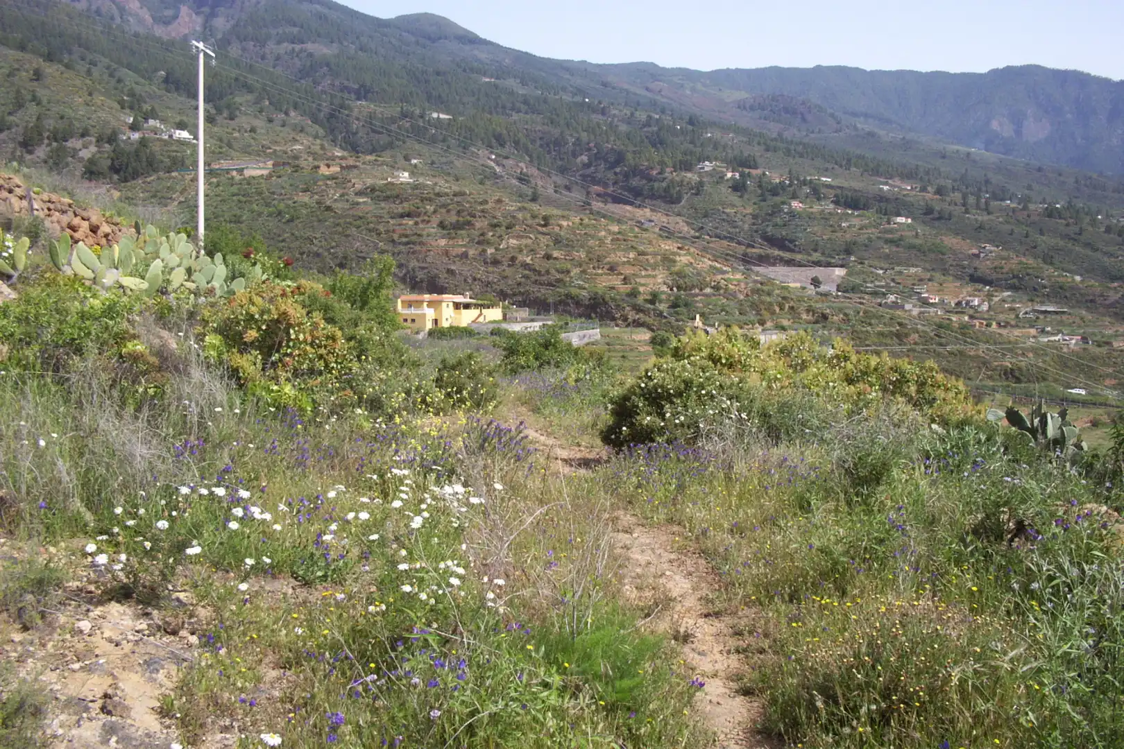 Rural land for sale in Calle Galván, imagen 4