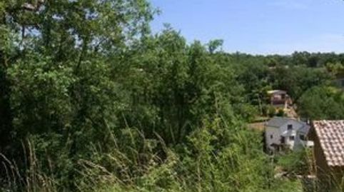 GRAN TERRENO CON VISTAS AL PIRIENEO, immagine 5