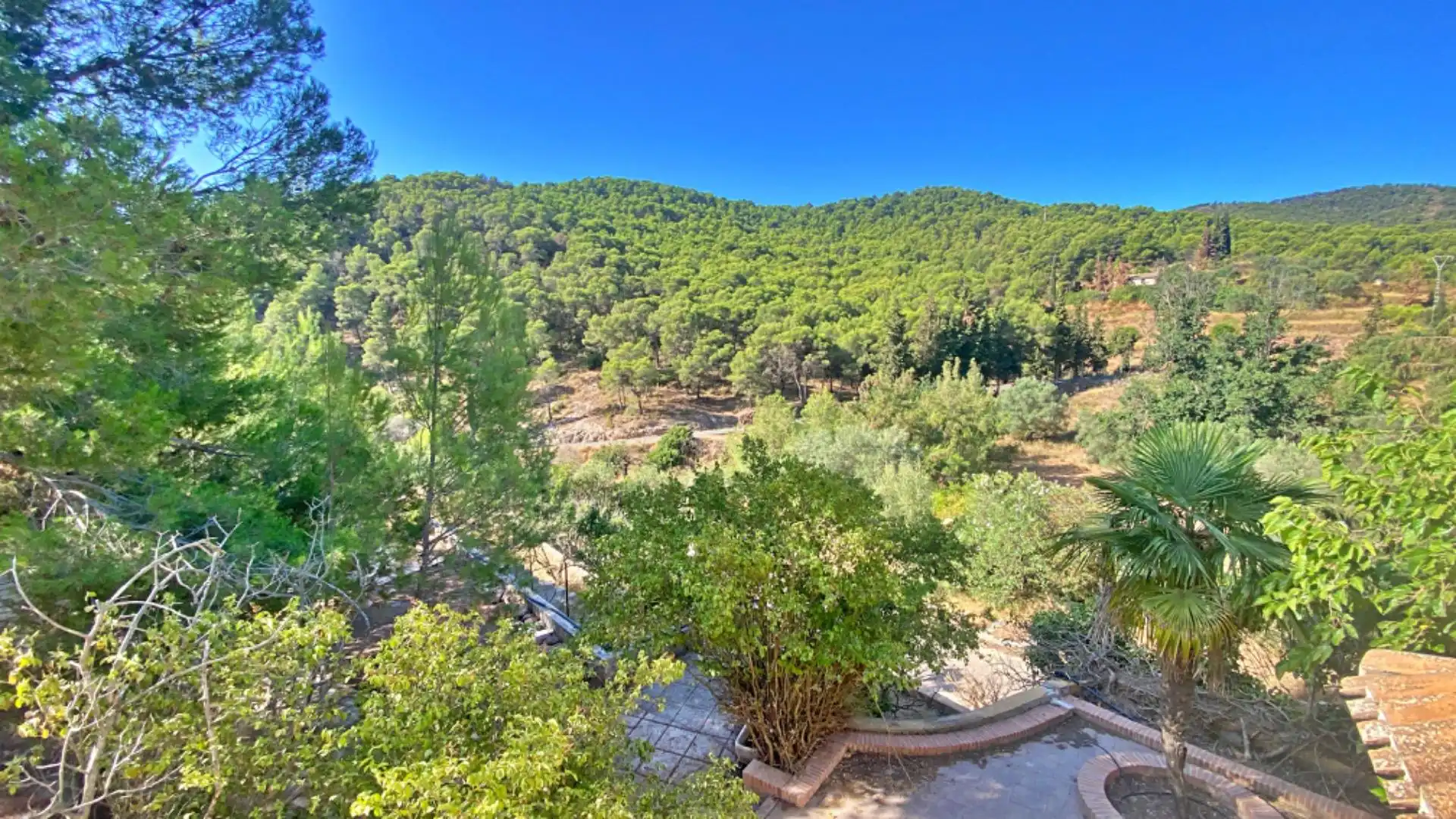 Jardín de Finca rústica en venta en Alhama de Murcia