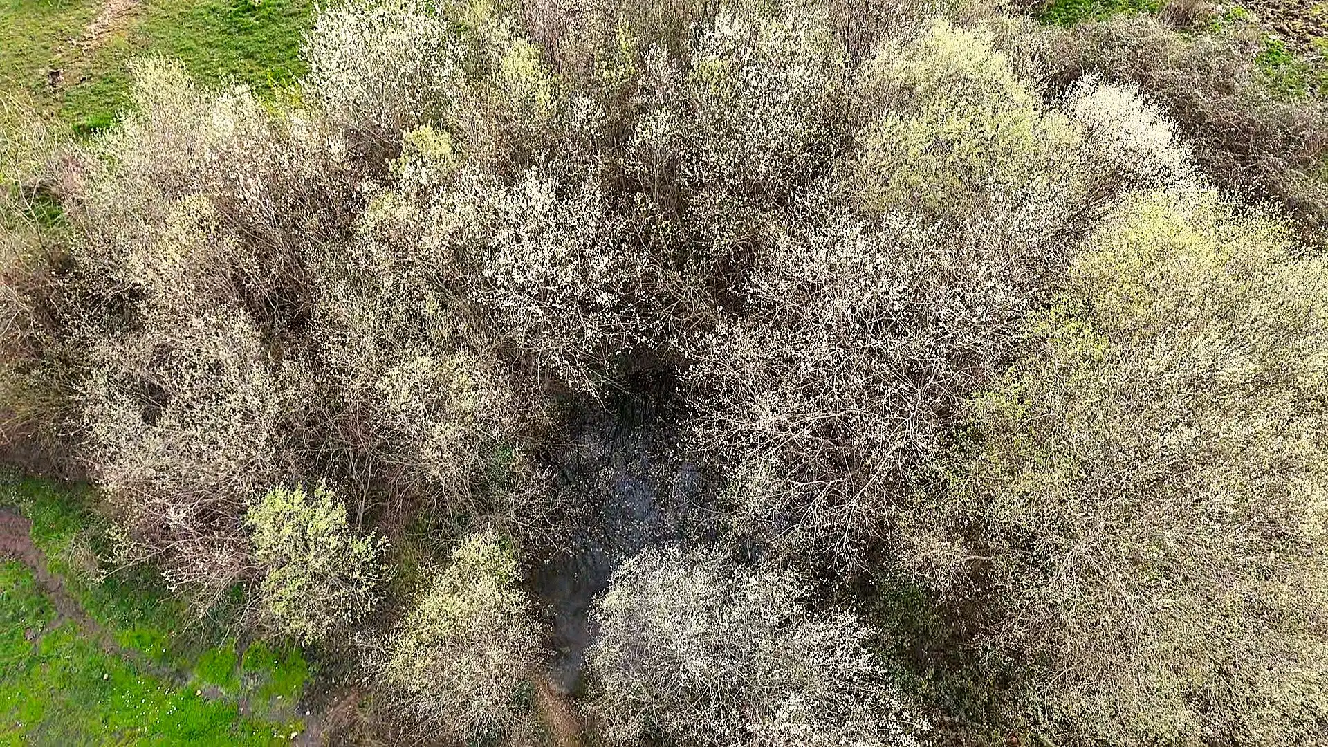 Terreno en venta en Collado de la Vera