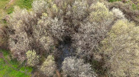 Foto 3 de Terreno en venta en Calle San Antonio, 7, Collado de la Vera, Cáceres