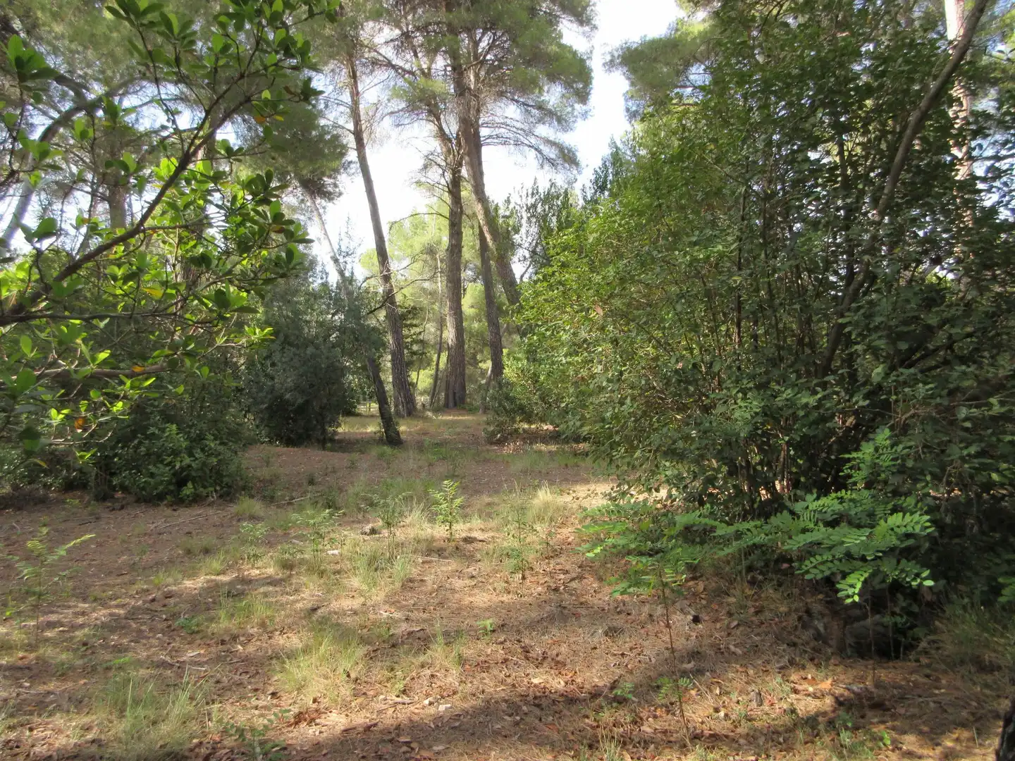 Detached house with garden for sale in Ibi, imagen 40