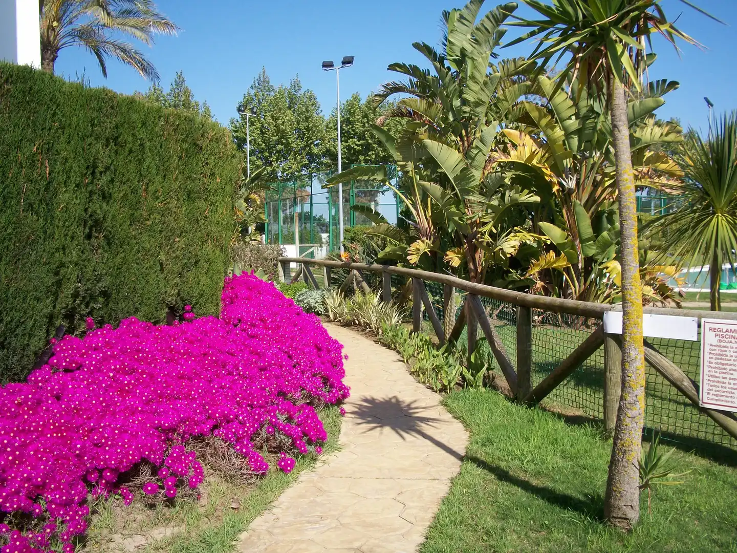 Apartment with pool to rent in Avenida de la Ballena 6, imagen 8