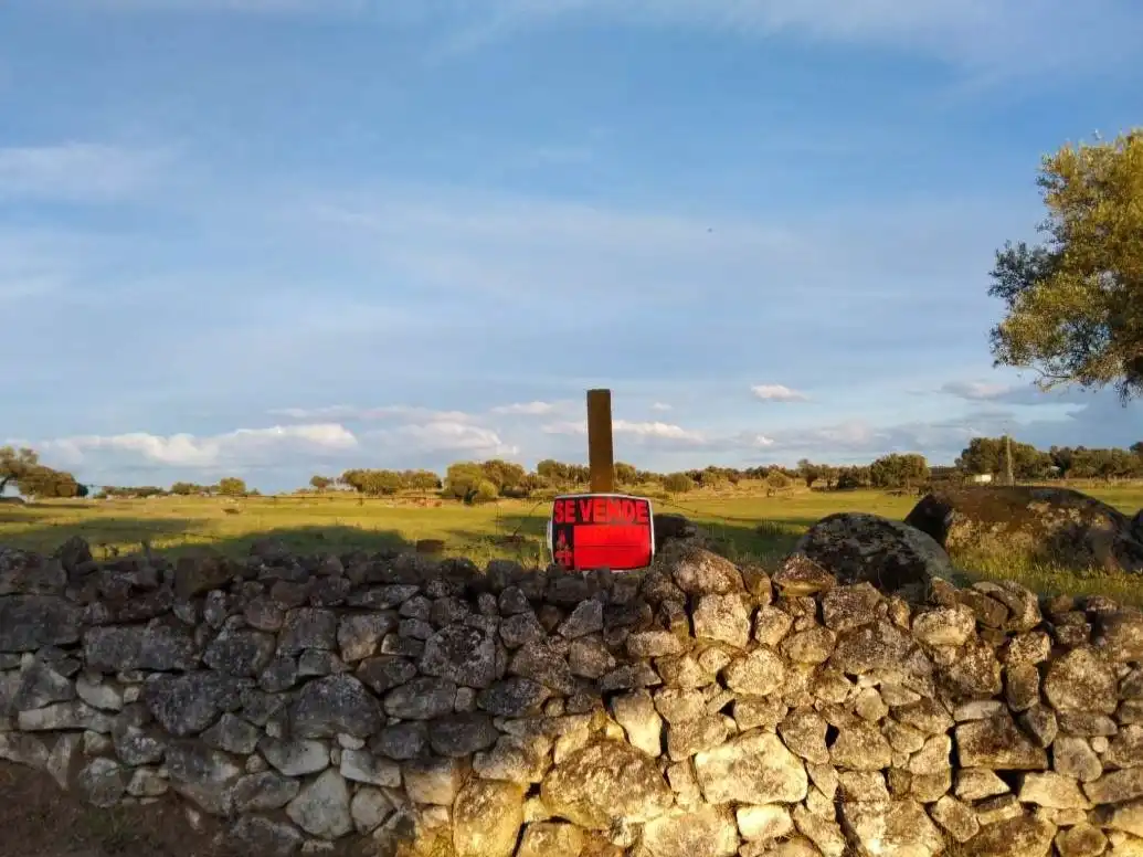 Exterior view of Land for sale in Ceclavín