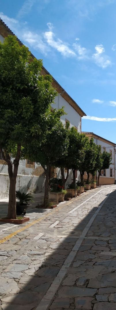 Exterior view of House or chalet for sale in Cortes de la Frontera