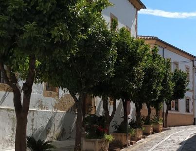 Exterior view of House or chalet for sale in Cortes de la Frontera