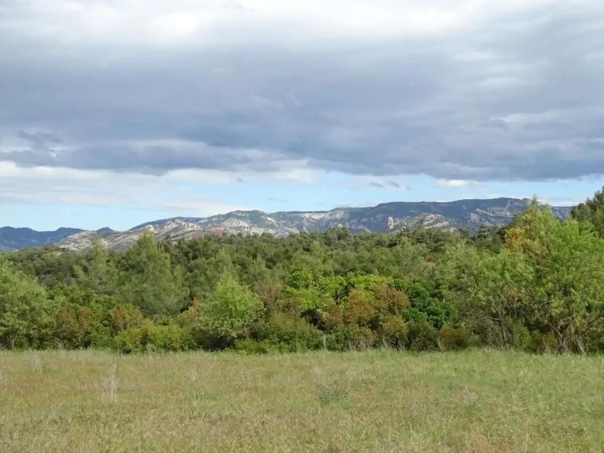 Finca rústica en venta en Cretas