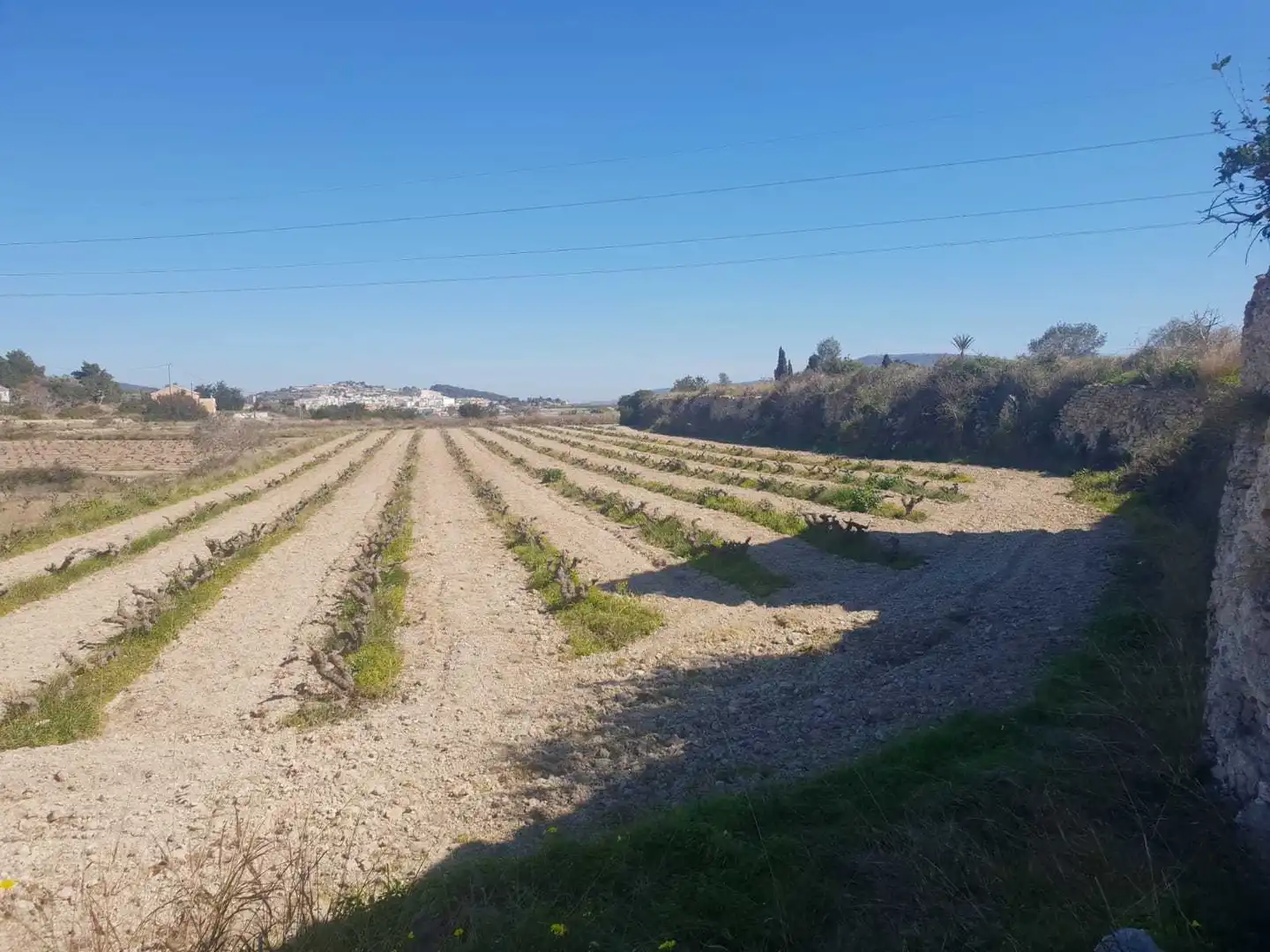 Residential land for sale in Benimeit - Tabaira, imagen 3