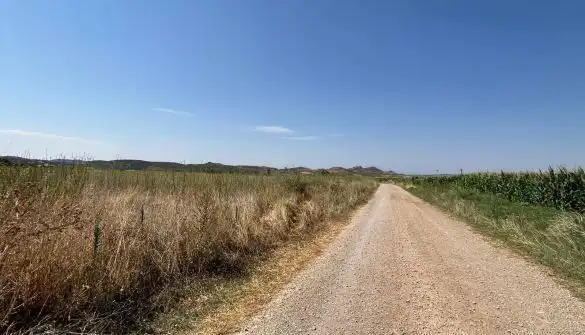 Rural land for sale in Polígono  Saratsua  polígono, imagen 7