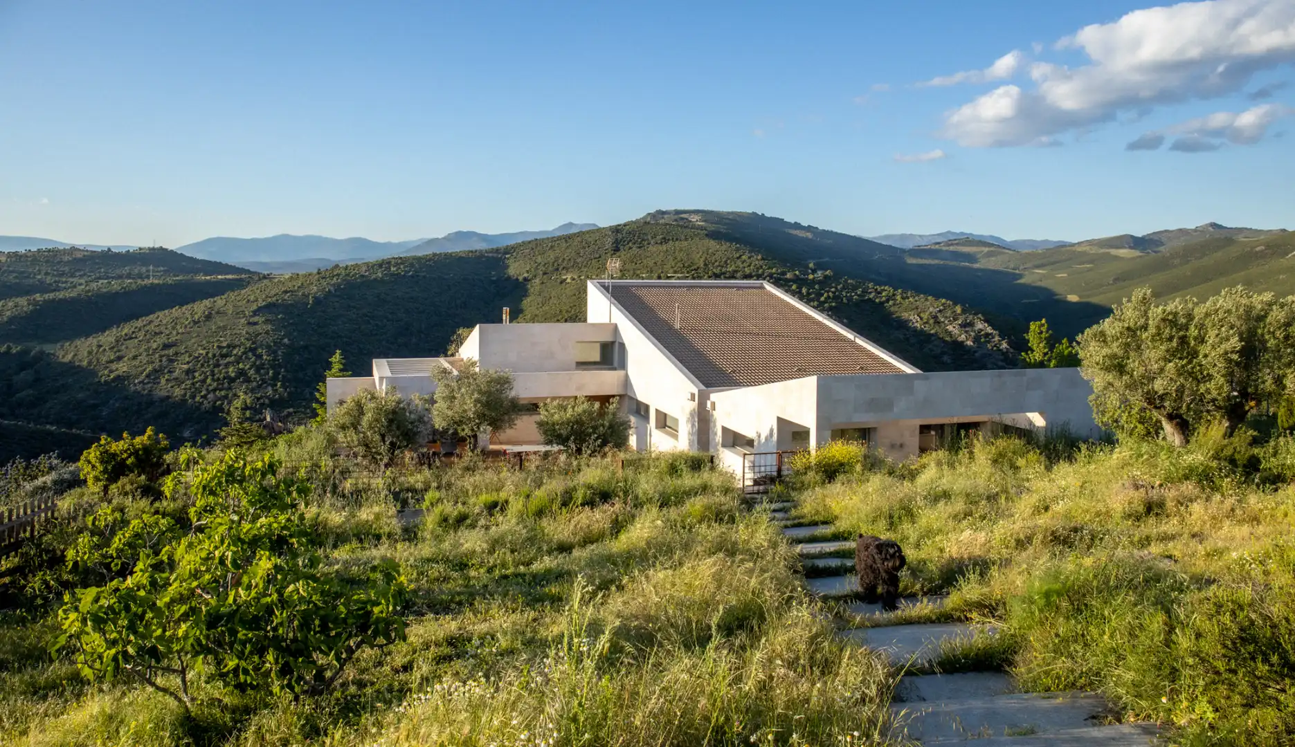 Vista exterior de Casa o chalet en venta en Torremocha de Jarama con Calefacción, Jardín privado y Terraza