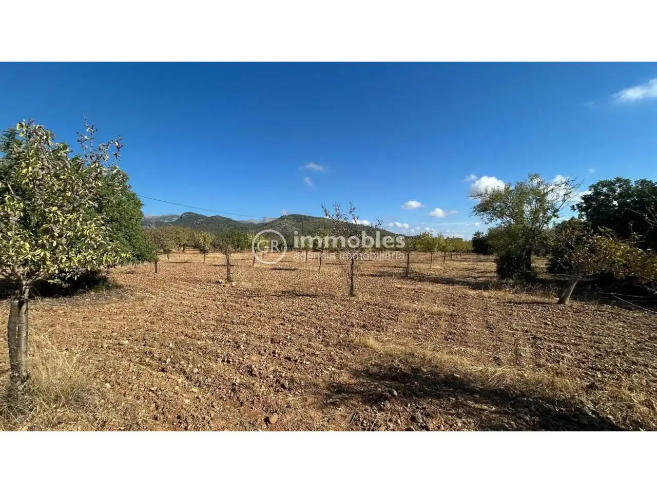 Terreno rustico in vendita a Poligono 14, imagen 9