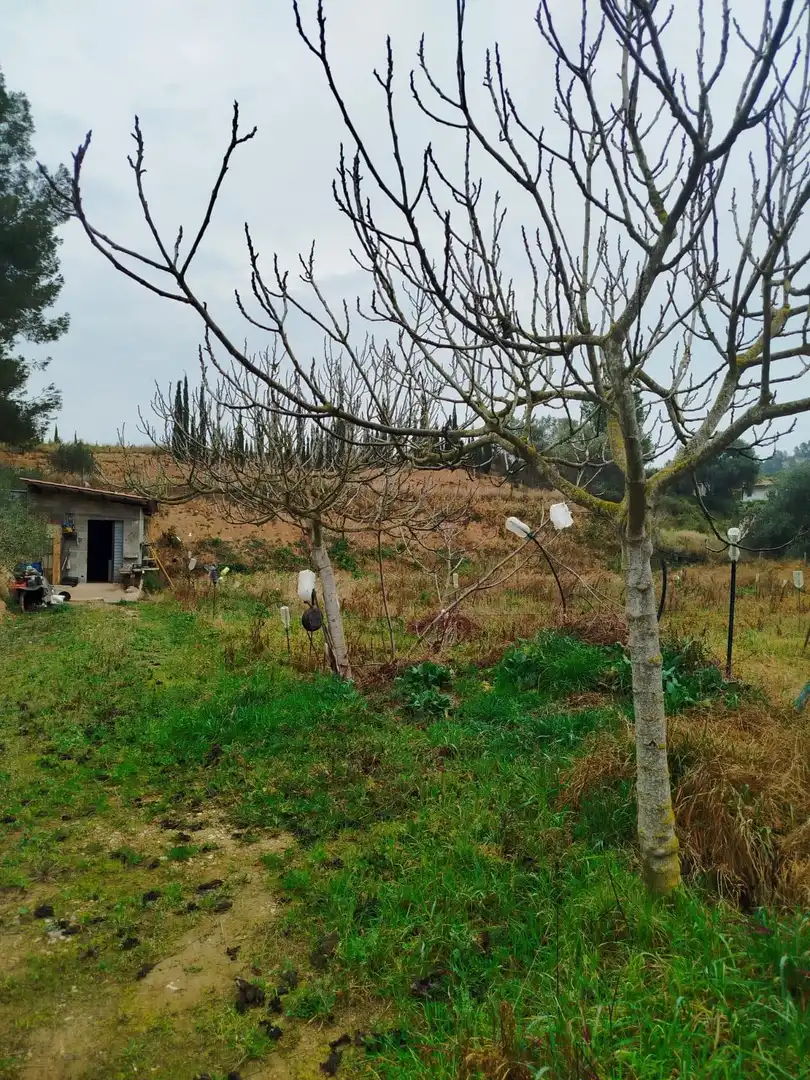 Rural land for sale in Ginestar, imagen 64
