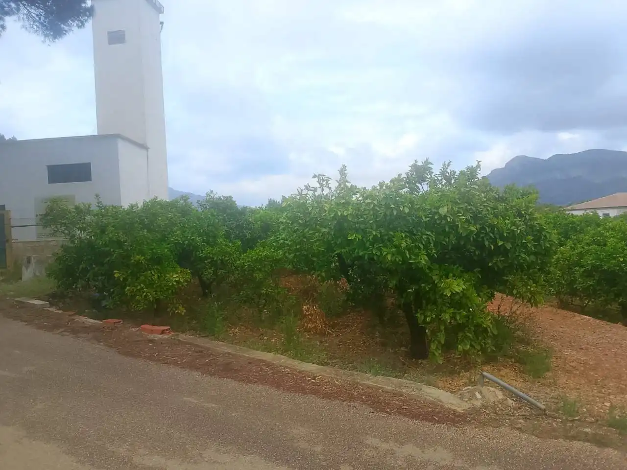 Terrain rustique à vendre à Calle Cami Rural Rotova, imagen 31
