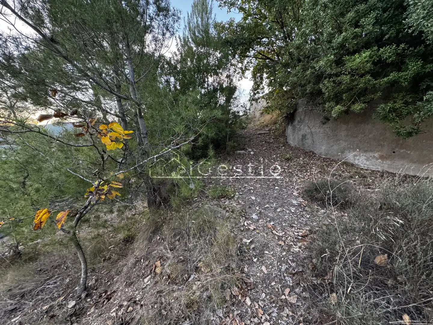 Wohnbaugrundstück zum Verkauf in Carrer Segle XX, imagen 5