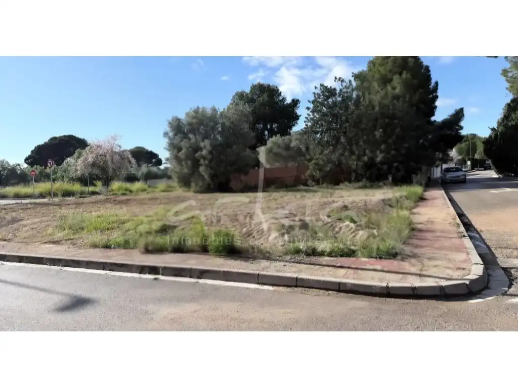 Terreno residenziale in vendita a La Conarda - Montesano, imagen 7