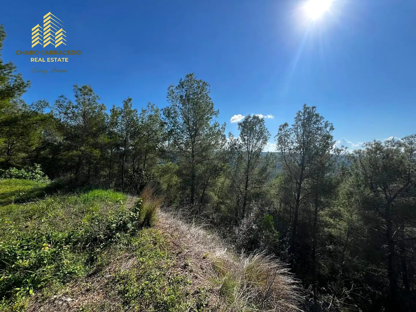 Terreno residencial en venta en Carrer Serra de la Murta, imagen 8