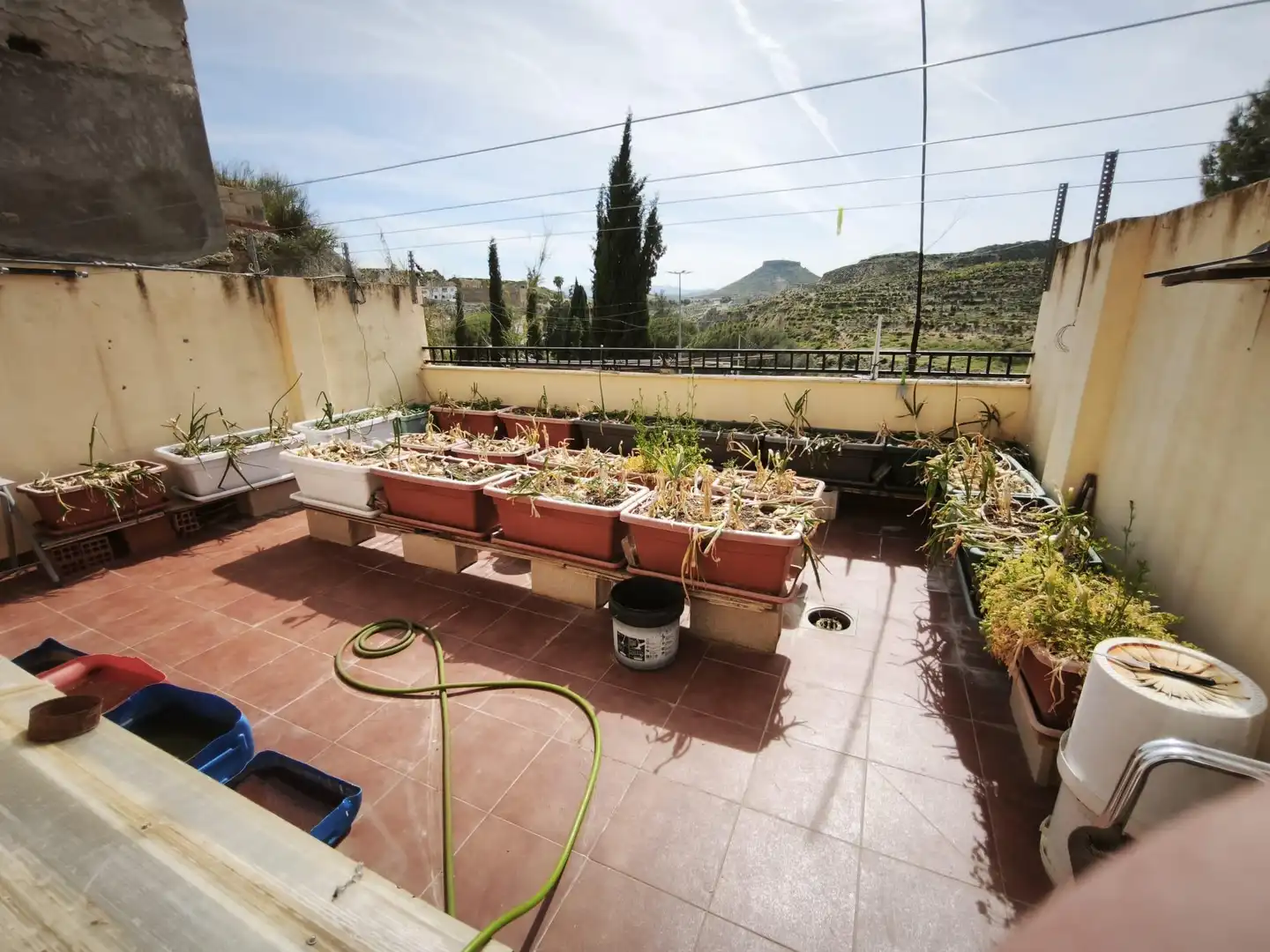 Vivienda en venta en Mula, imagen 35