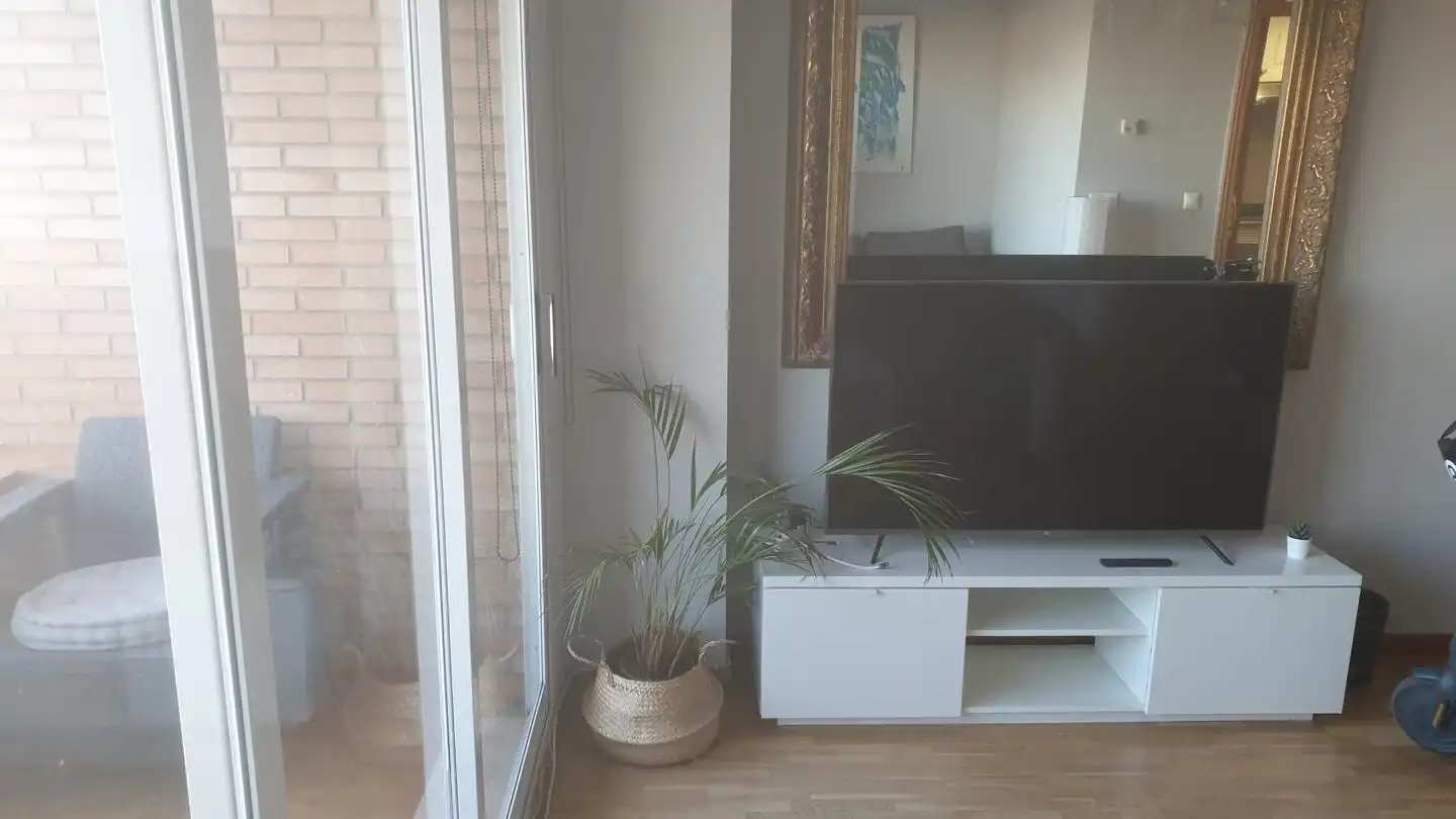 Flat for rent in Plaça de José María Orense, La Carrasca