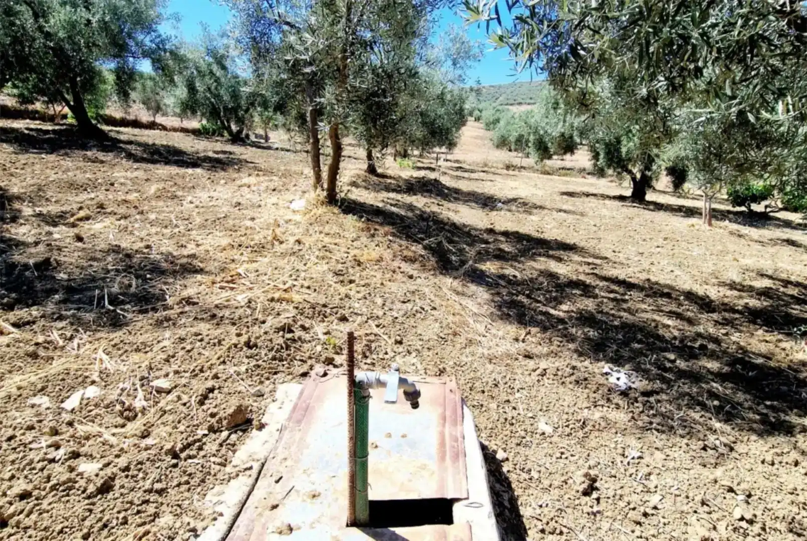 Casa o chalet de alquiler en Riogordo con Jardín privado