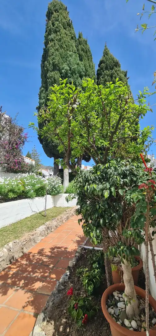 Piso en venta en Calle Bermeja 20, imagen 48