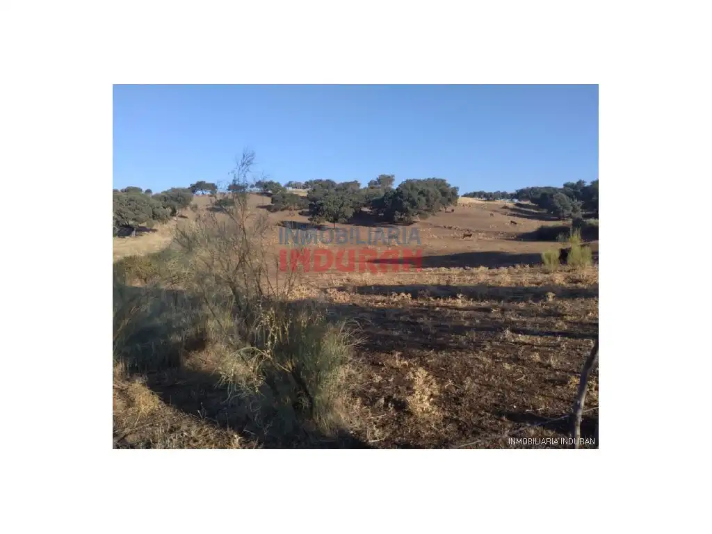 Casa en venta en Millanes, imagen 8