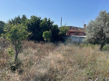 Terreno residenziale in vendita a Las Lagunas - Campano