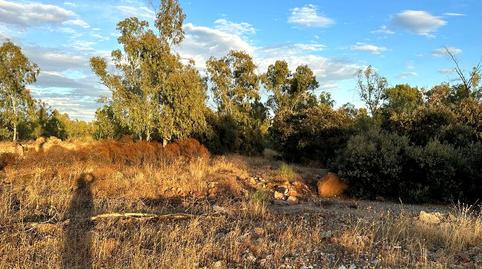 Foto 4 de Residencial en venda a Radio Faro, San Roque - La Cruz - La Rozuela, Jaén