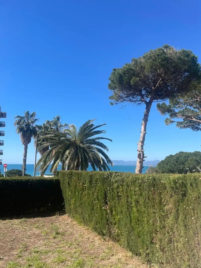 Jardí de Planta baixa en venda en Salou amb Jardí privat, Terrassa i Moblat