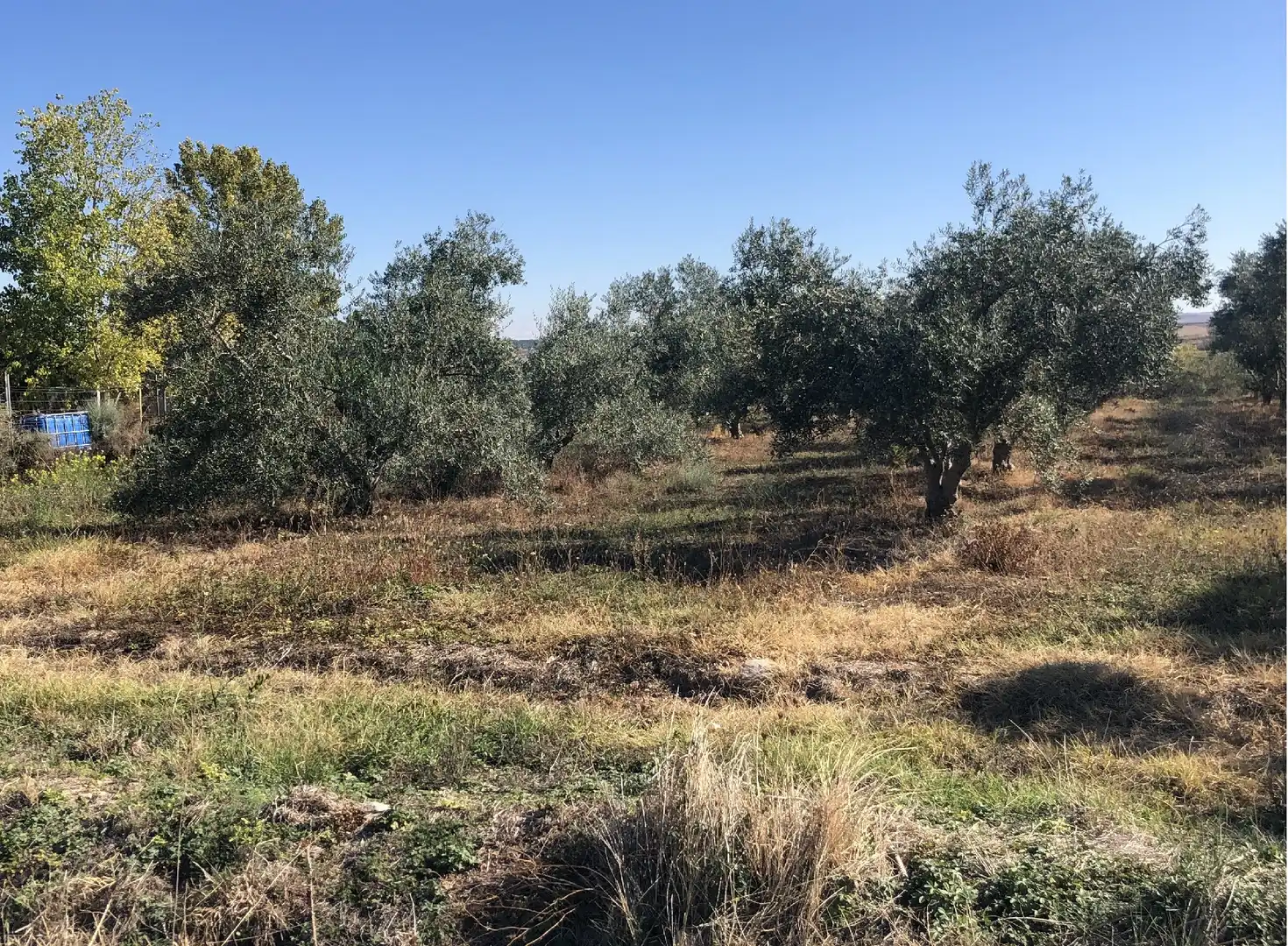 Terrenys i solars en venda a Alberite, imagen 2