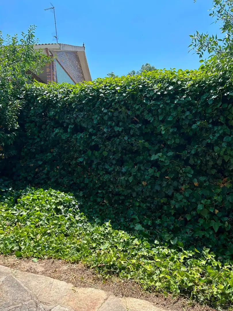 Casa amb jardí en venda a Colmenarejo, imagen 79