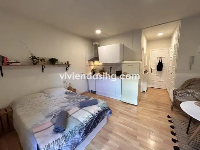Studio zur Miete in Calle Dinamarca 6, imagen 9