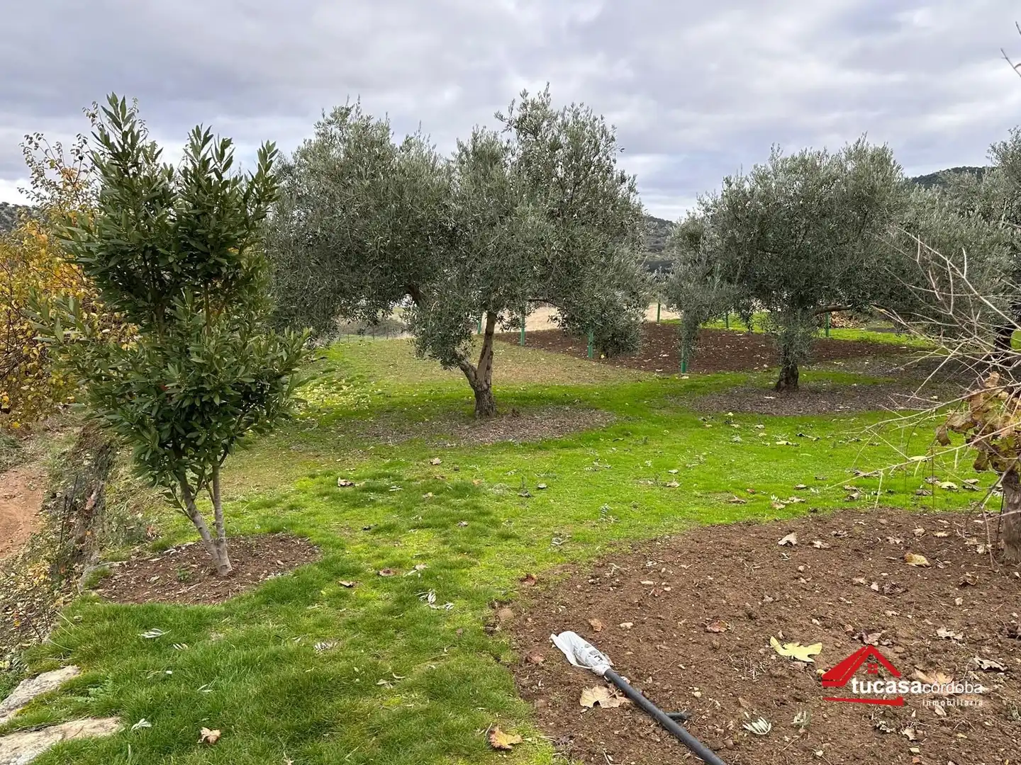 Terreno rustico in vendita a Villanueva del Rey, imagen 24