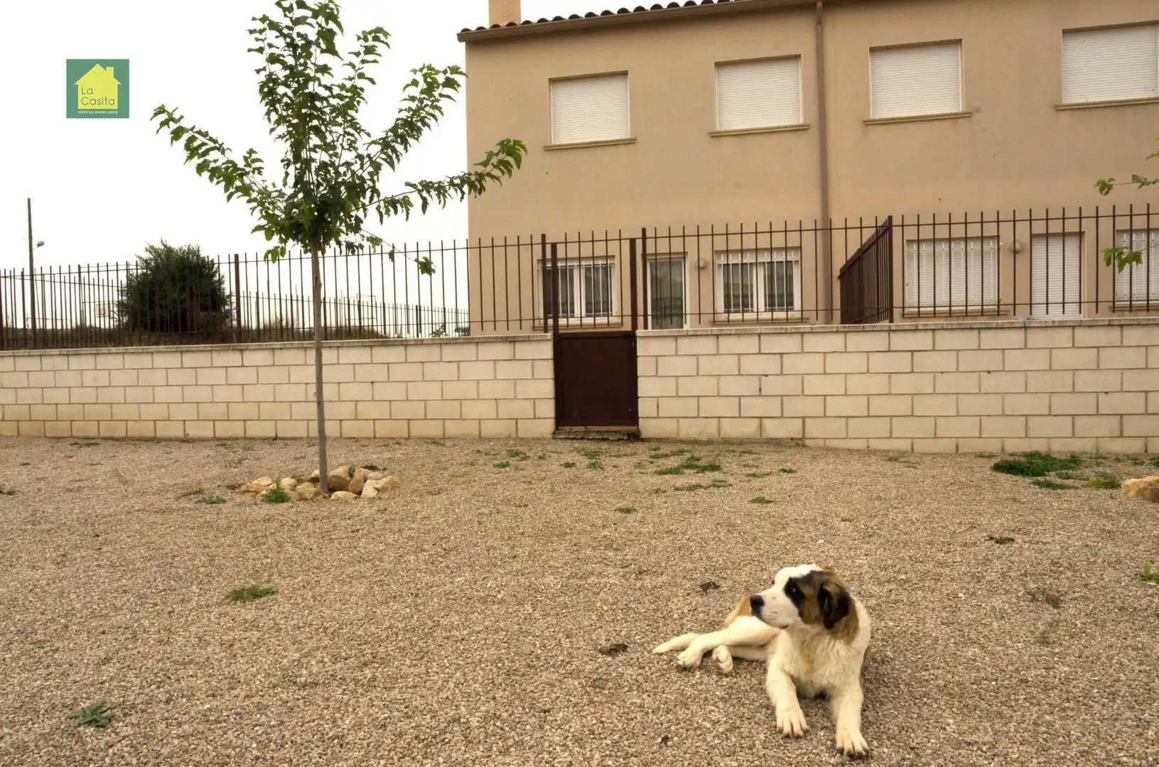 Vista exterior de Casa adosada en venda en Chinchilla de Monte-Aragón amb Calefacció i Traster