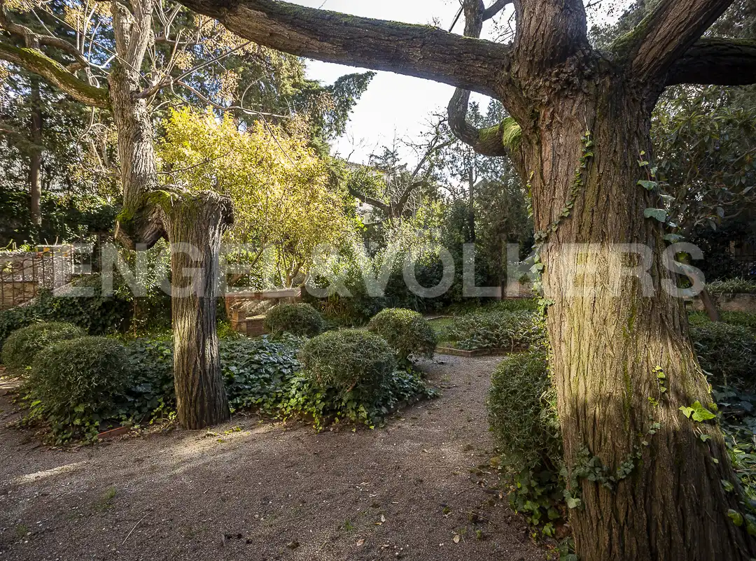 Jardí de Casa o xalet en venda en La Garriga amb Calefacció, Jardí privat i Terrassa