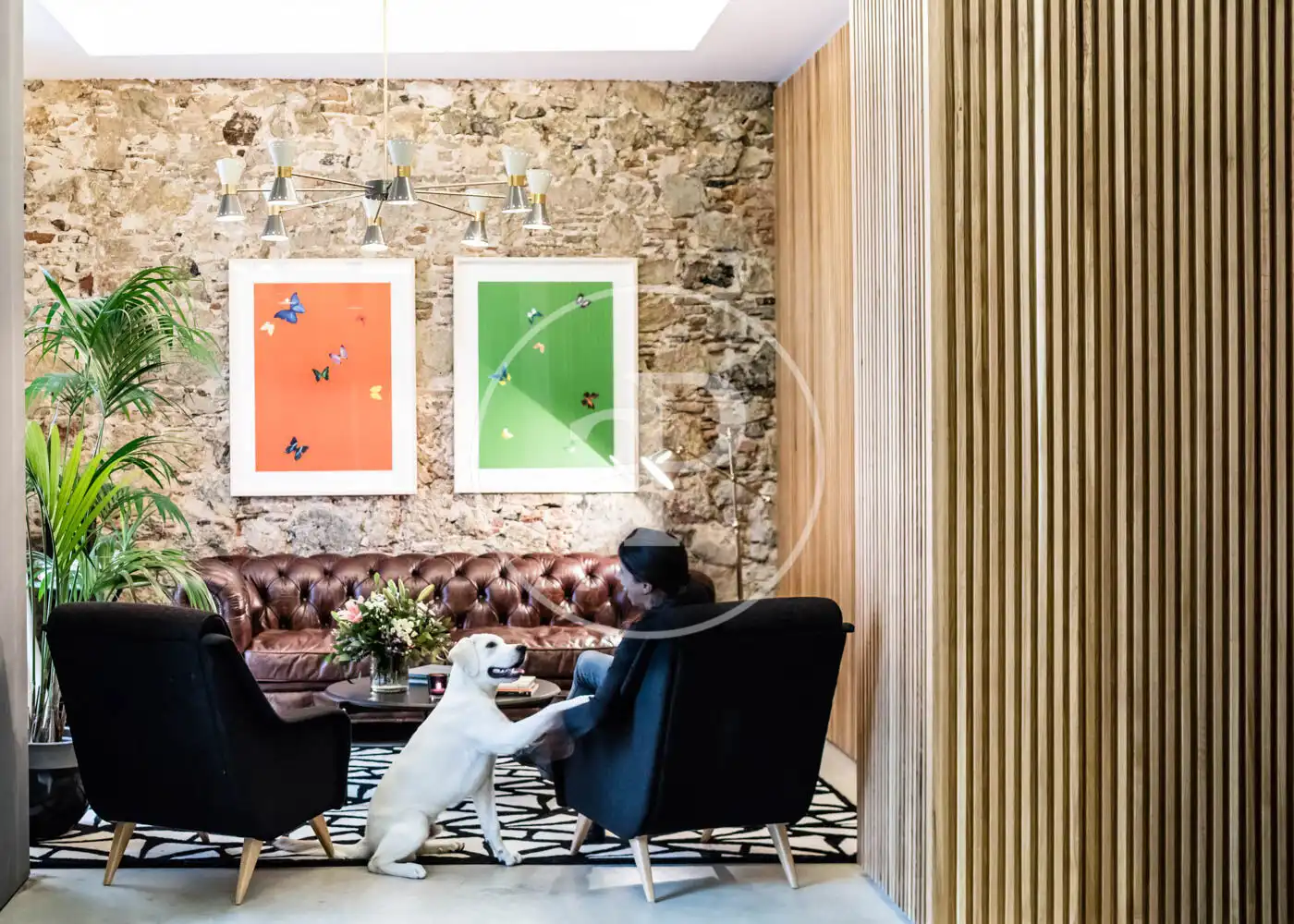 Sala de estar de Piso de alquiler en Barcelona con Aire acondicionado, Calefacción y Terraza