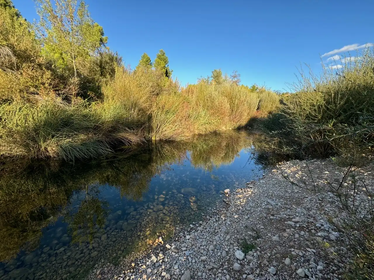 Rural land for sale in Zn Diseminats 8, imagen 21