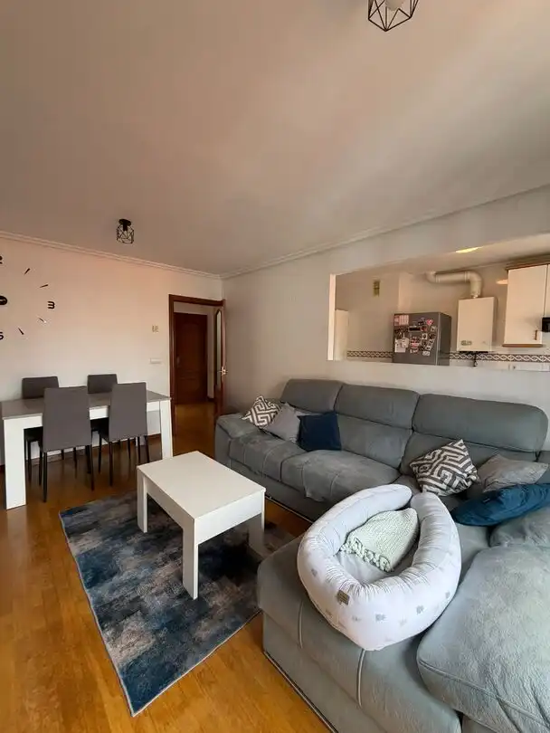 Sala d'estar de Dúplex de lloguer en Gijón 