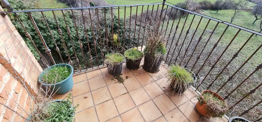 Terreny rústic en venda a C/ Castroviejo, imagen 29