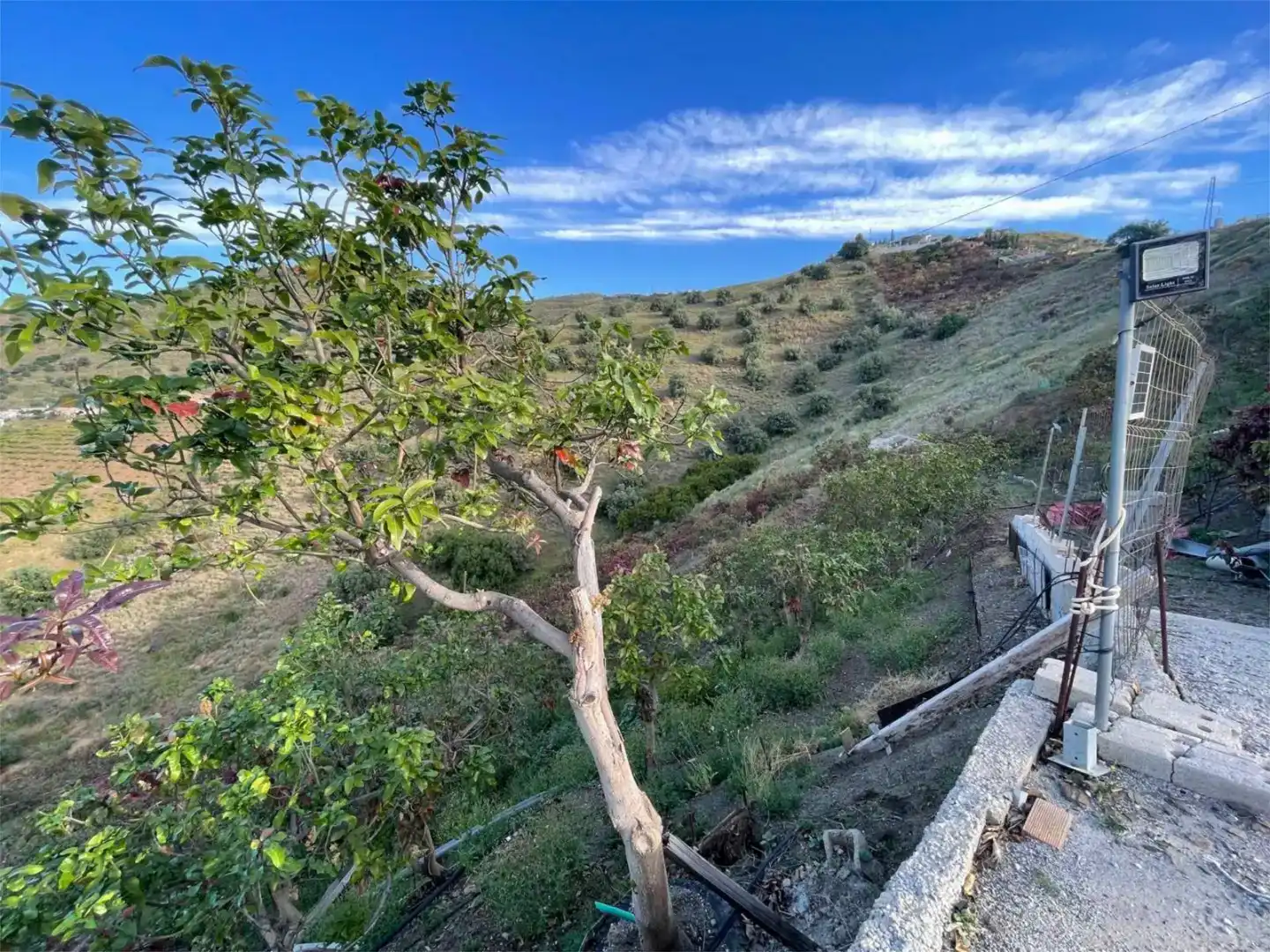 Finca rústica en venda en El Borge amb Piscina i Balcó