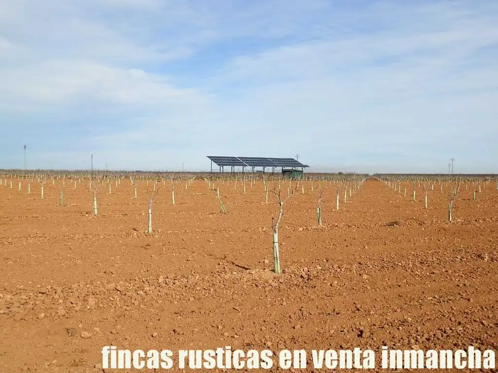 Jardín de Terreno en venta en Albacete