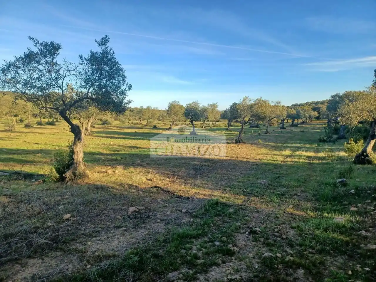 Grundstücke zum Verkauf in Peraleda del Zaucejo