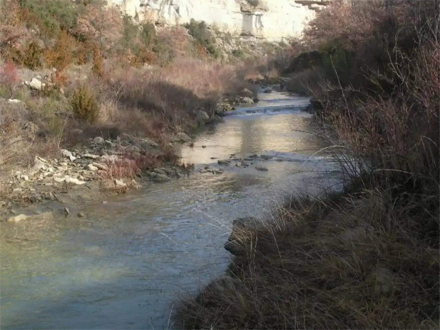 Vista exterior de Finca rústica en venda en Sant Esteve de la Sarga, Lleida