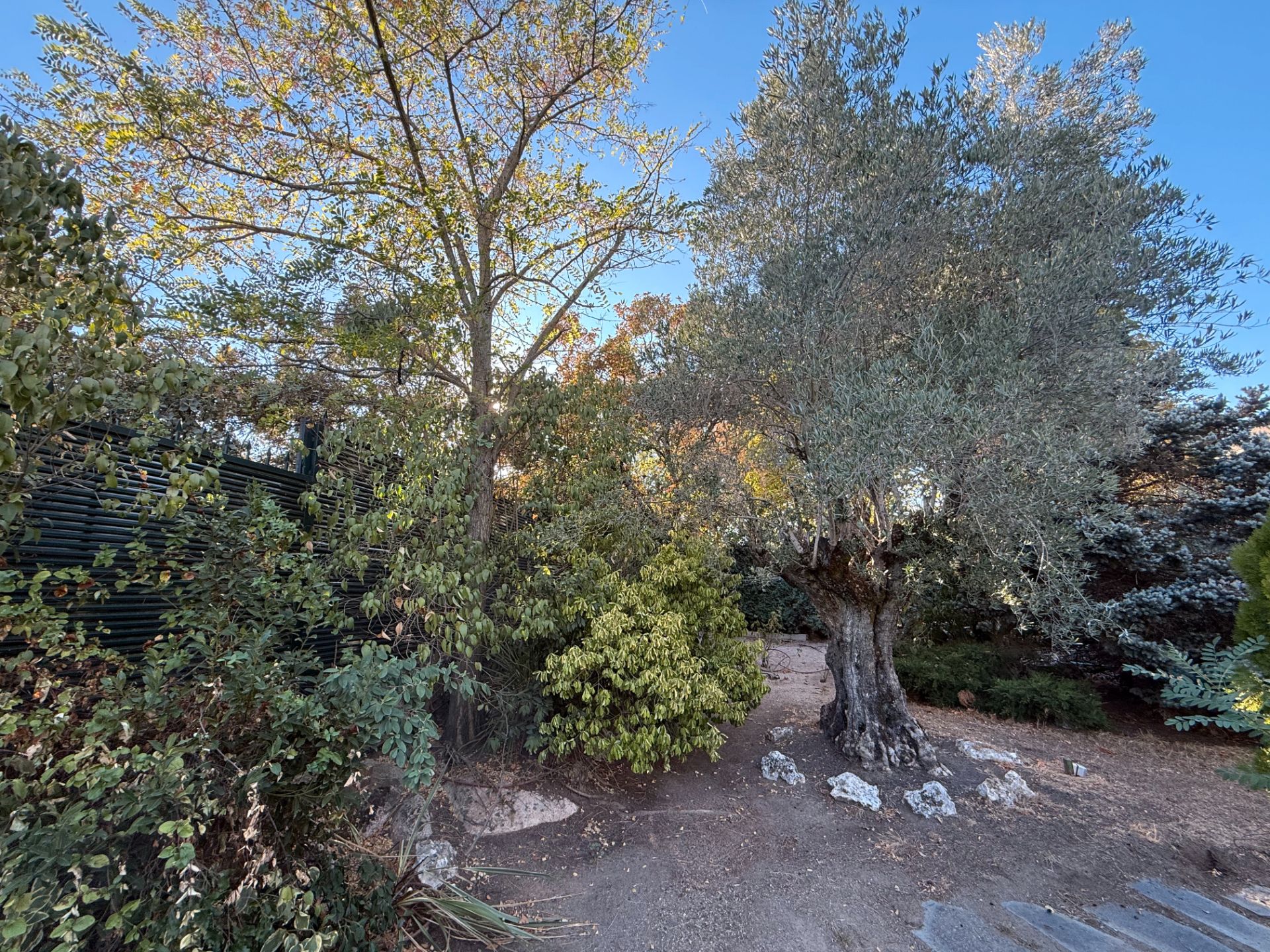 Garden of House or chalet for sale in Galapagar  with Air Conditioner, Heating and Private garden